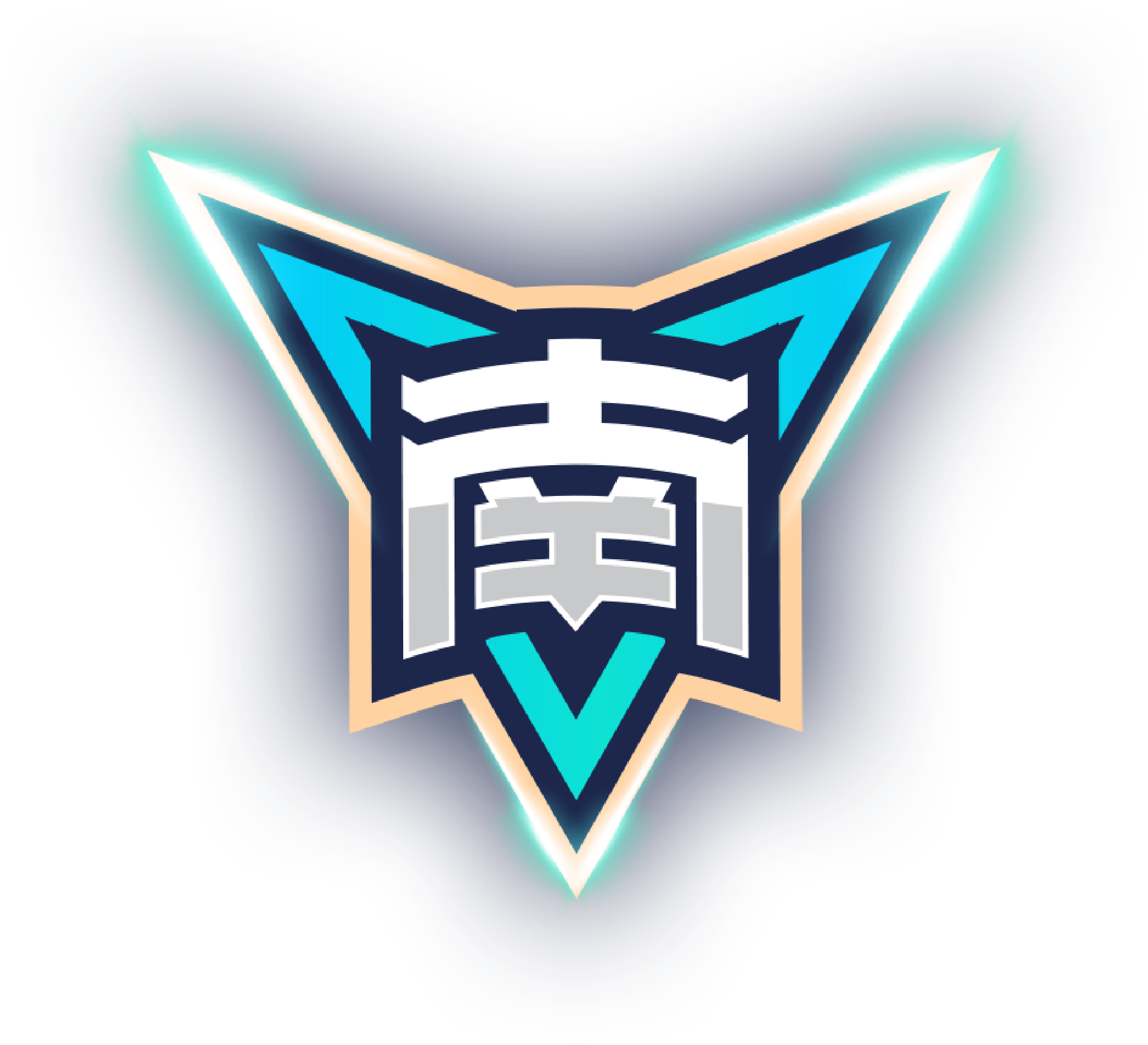 埃弗顿